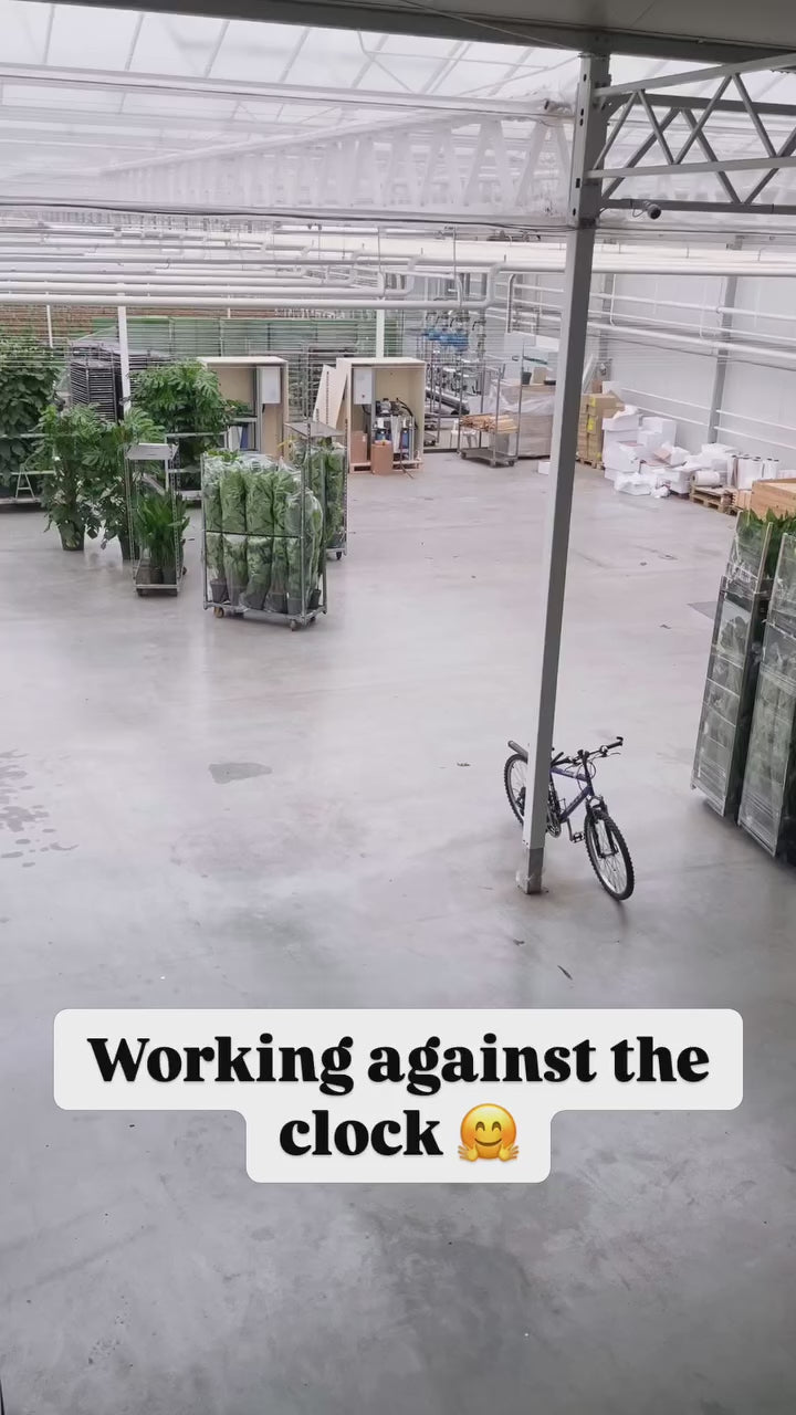 Load video: 